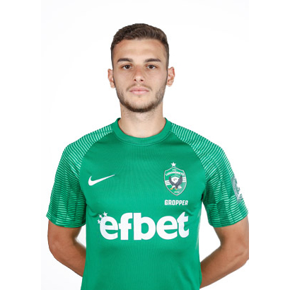 Дени Групер