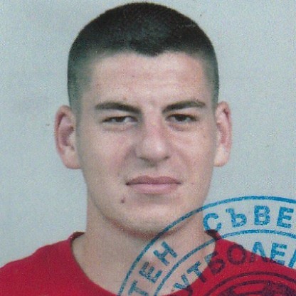 Владимир Сулев