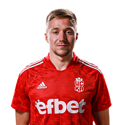Владимир Гогов