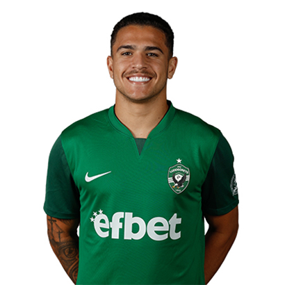Кайо Видал Роша