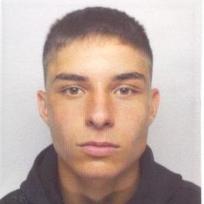 Роман Родопски