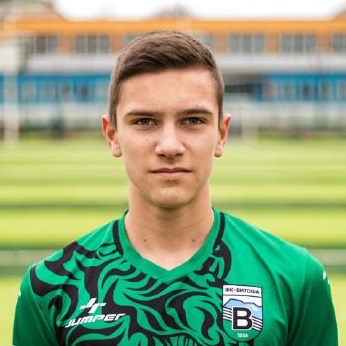 Владимир Тенев